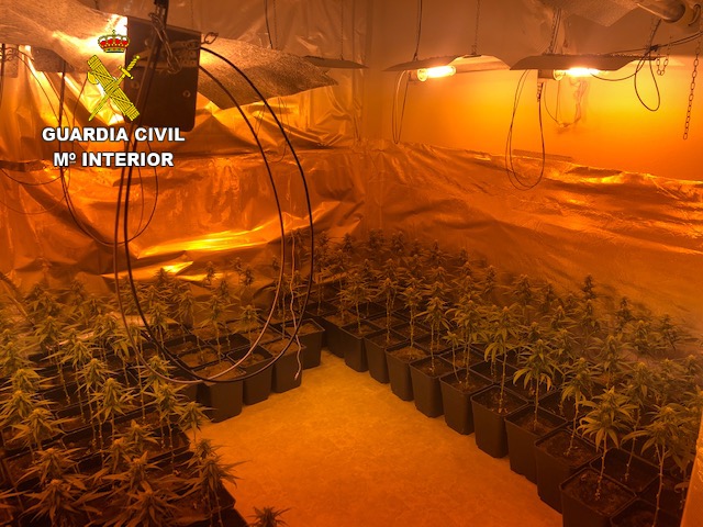 Una de las plantaciones de marihuana