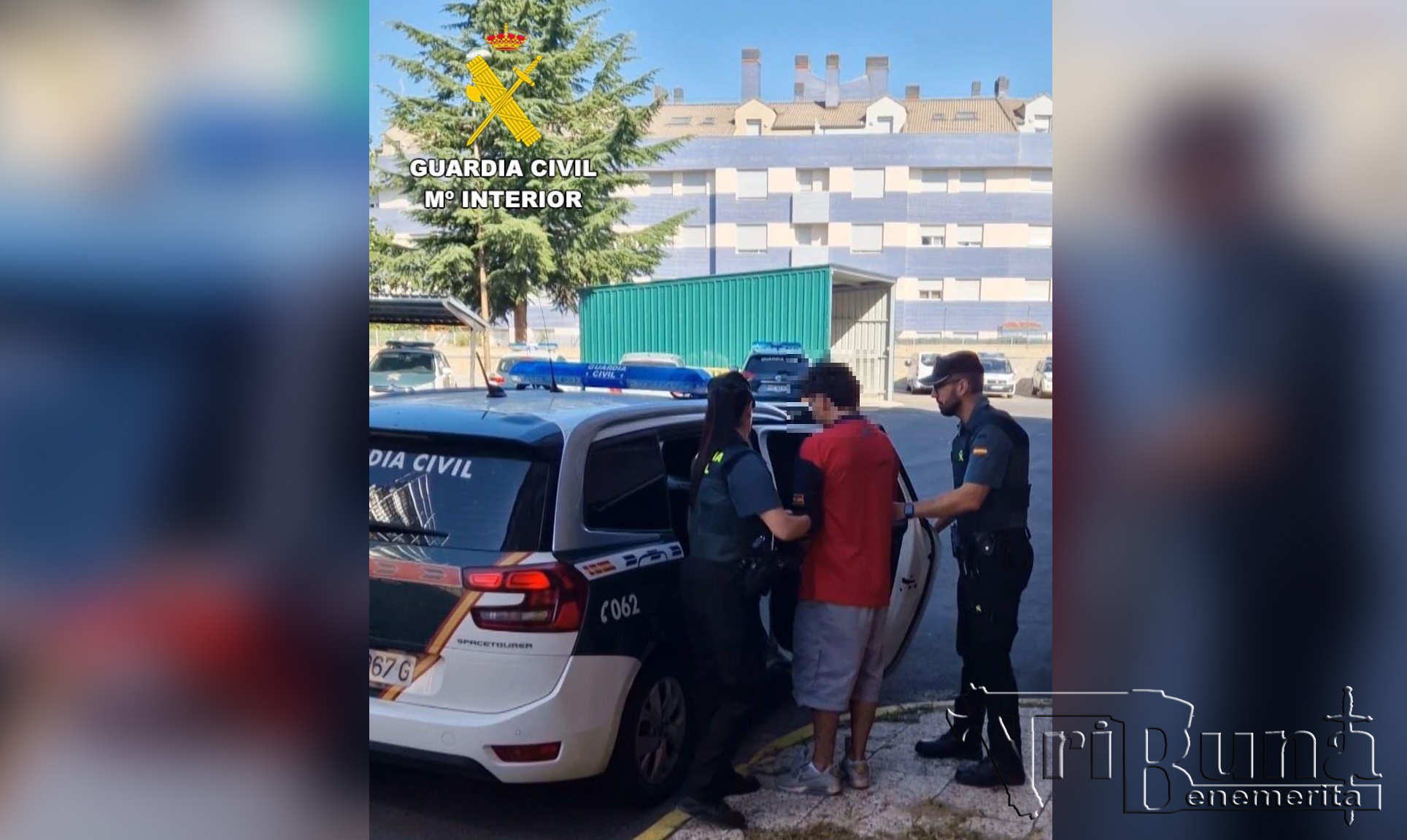 WhatsApp Image 2024 08 28 at 09.30.10