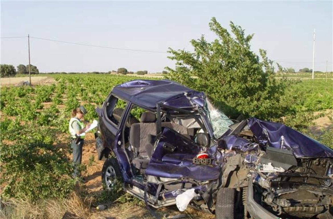 WhatsApp Image 2024 12 