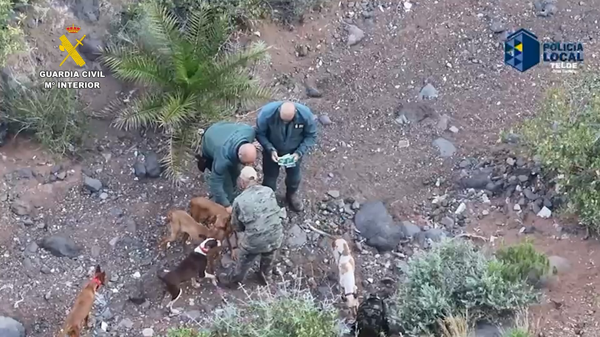 WhatsApp Image 2025 05 09 at 11.07.14