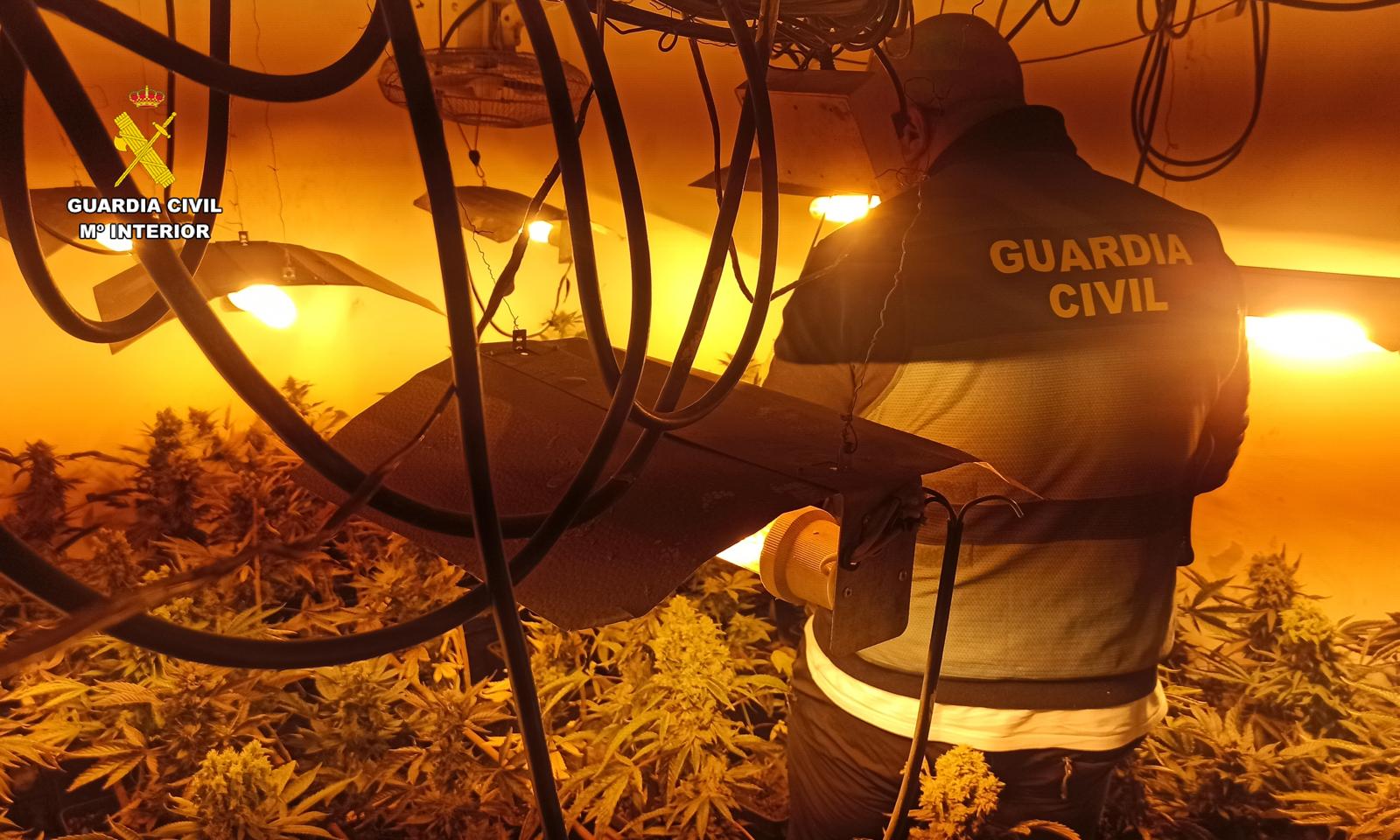 WhatsApp Image 2025 05 13 at 13.29.40