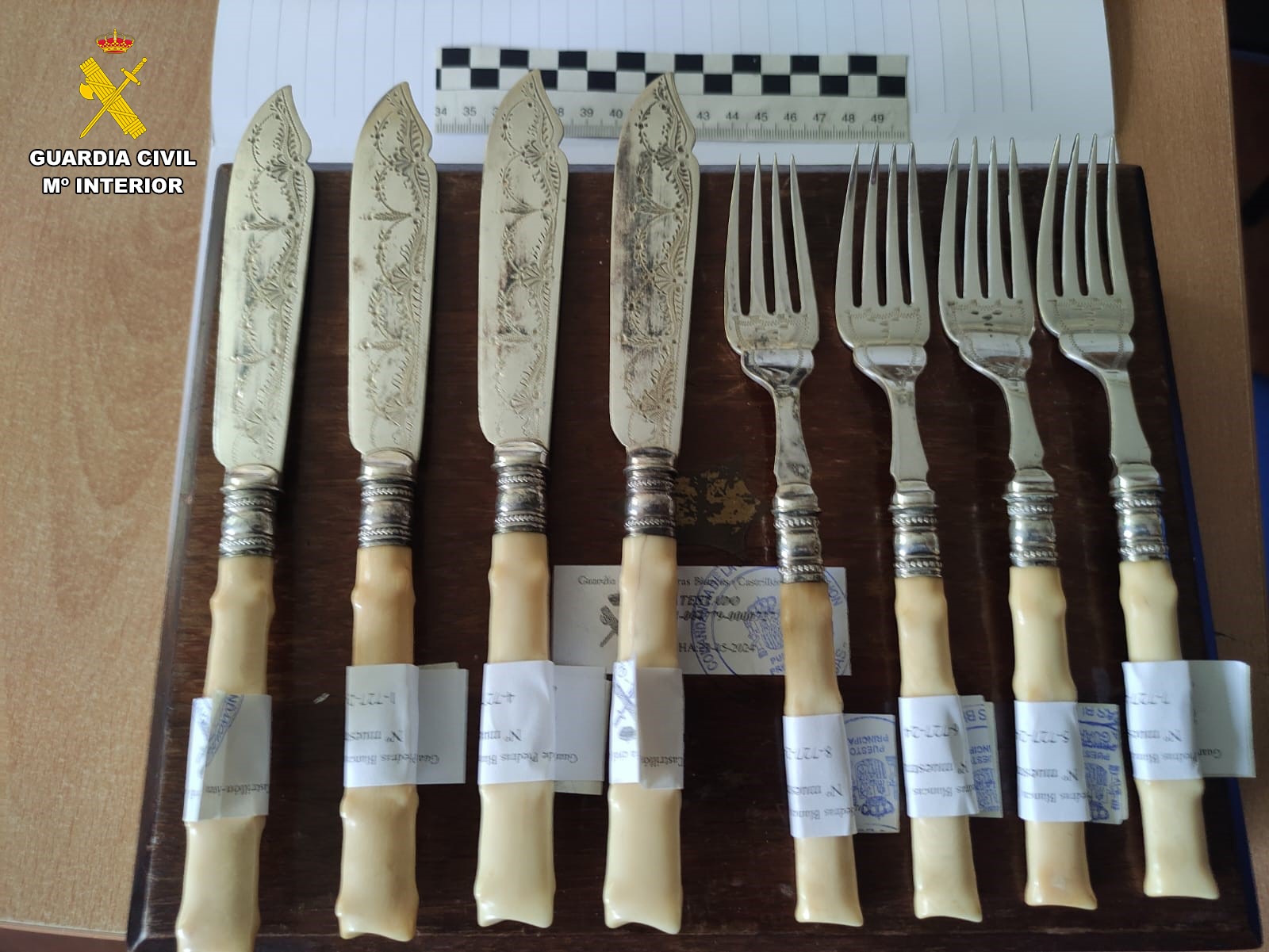 WhatsApp Image 2025 05 14 at 11.42.31