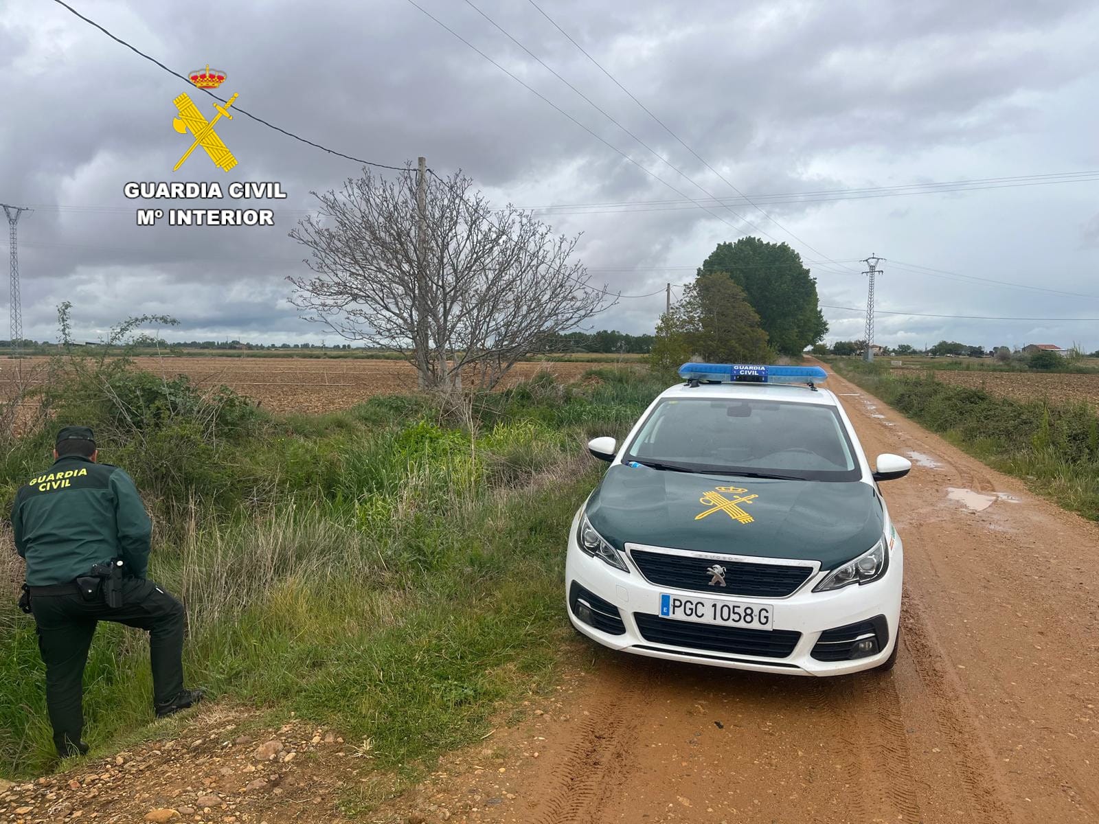 WhatsApp Image 2025 05 14 at 12.07.55