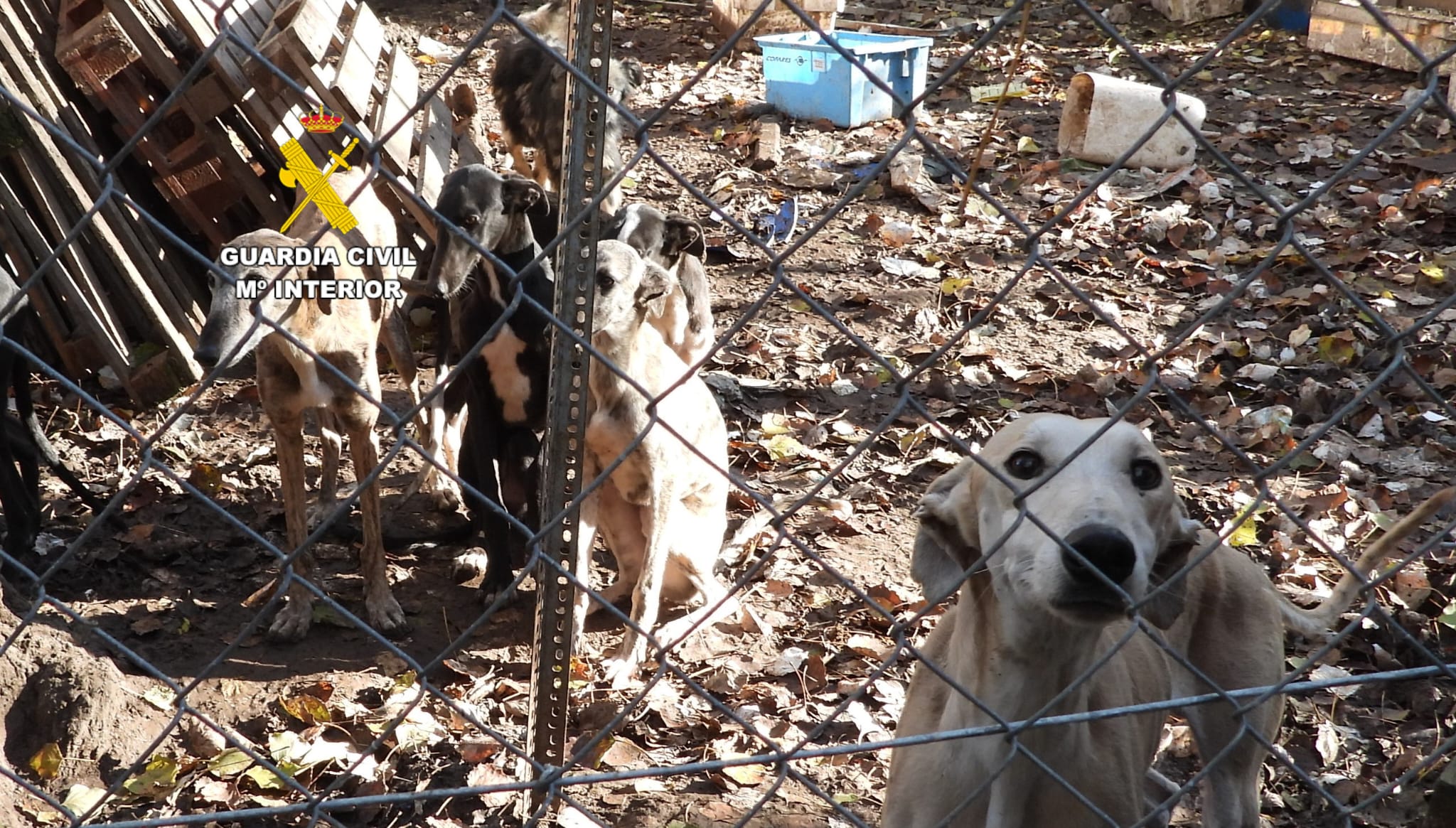 WhatsApp Image 2025 12 26 at 13.13.21