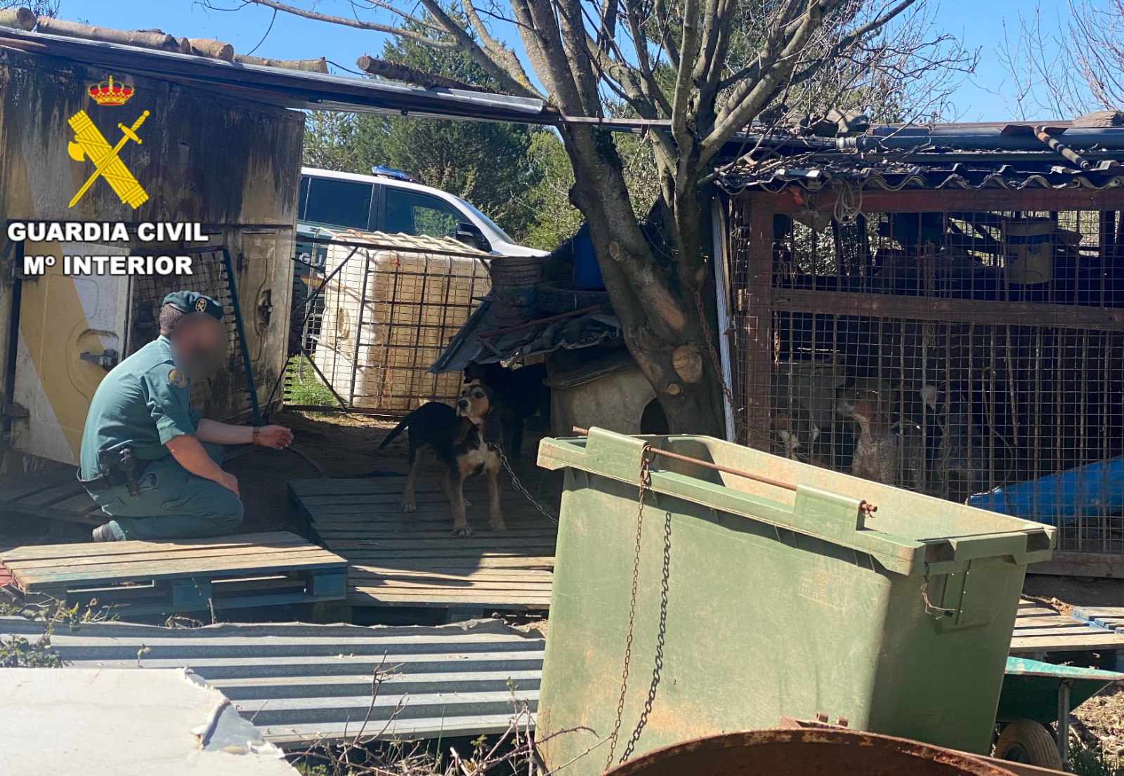 WhatsApp Image 2026 03 25 at 14.16.08