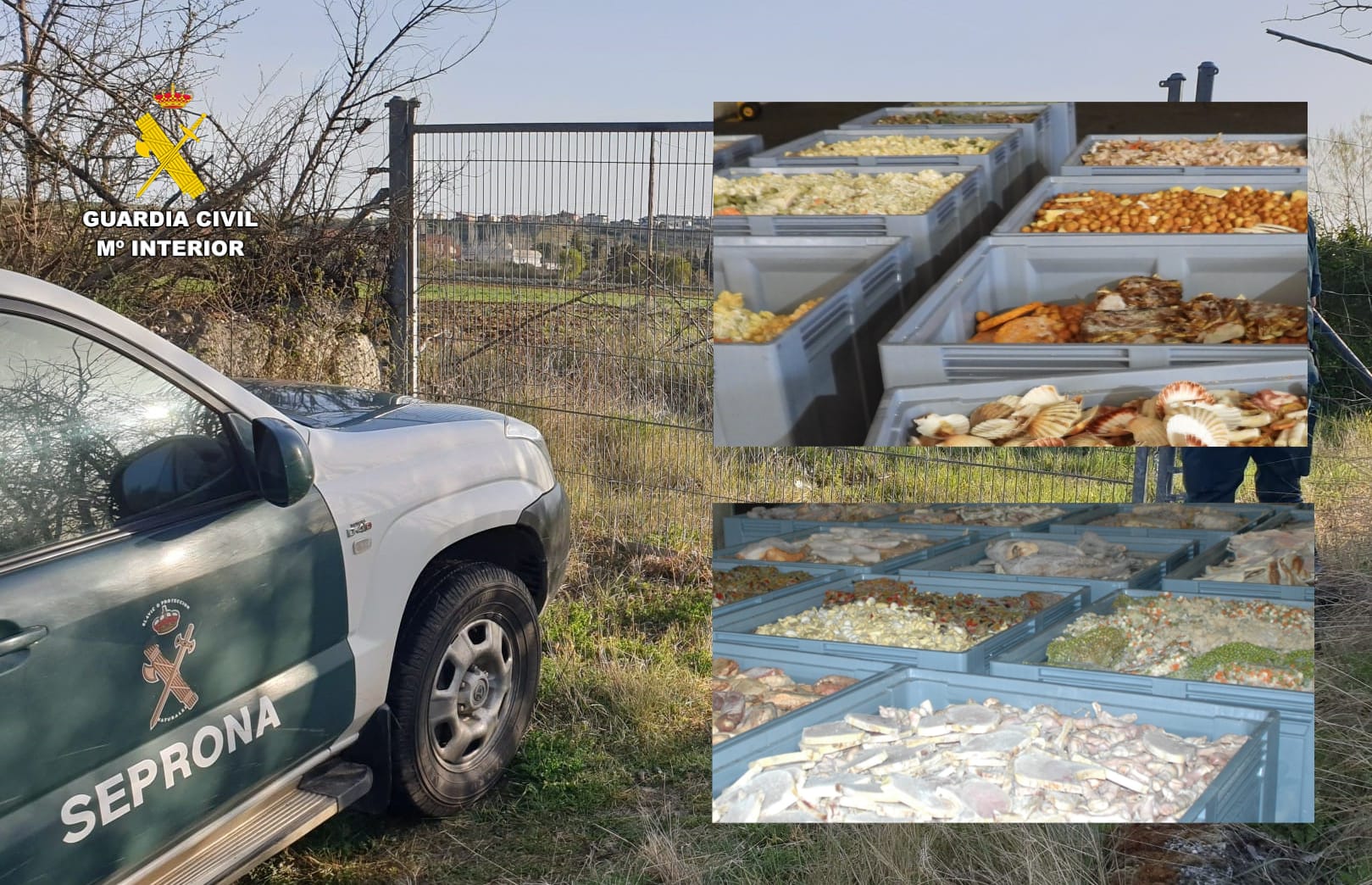 WhatsApp Image 2026 04 22 at 13.39.50