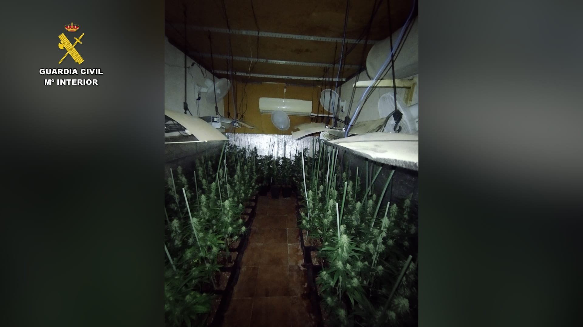 WhatsApp Image 2026 04 28 at 08.03.46