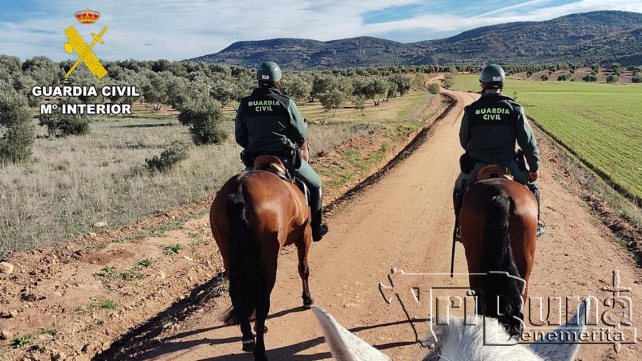 agentes grupo caballeria 69