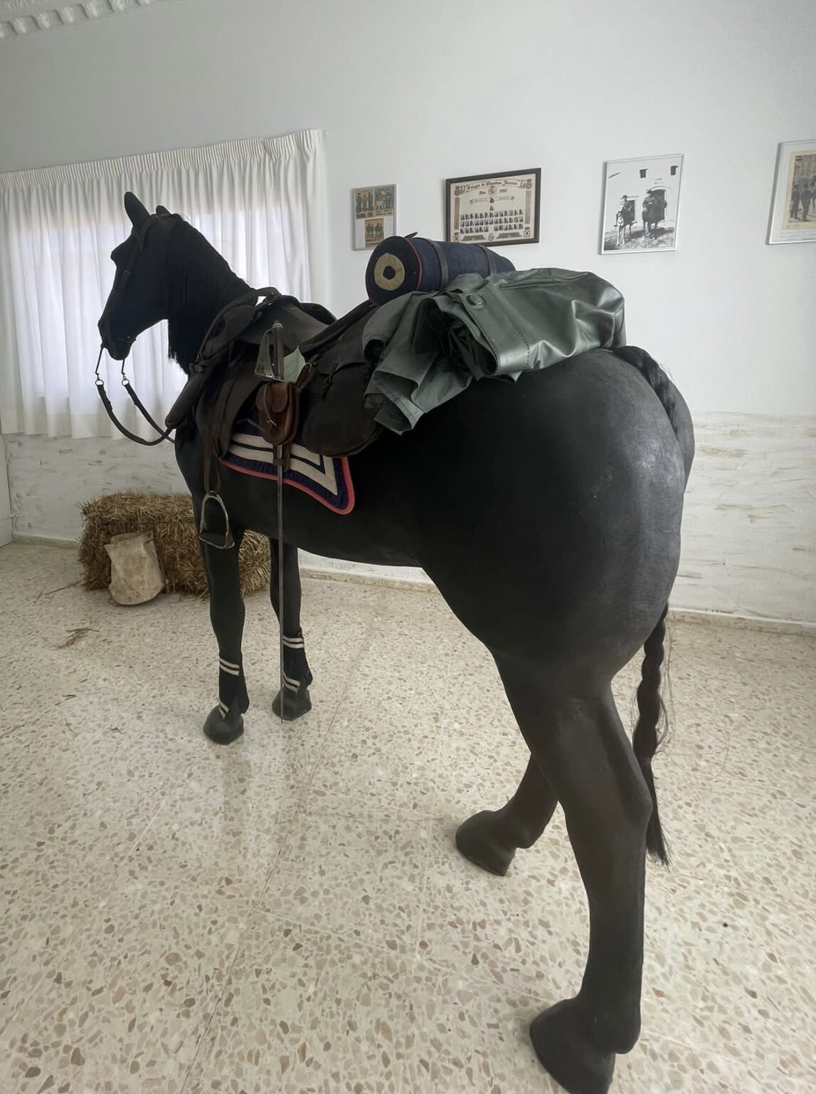 caballo guardia civil