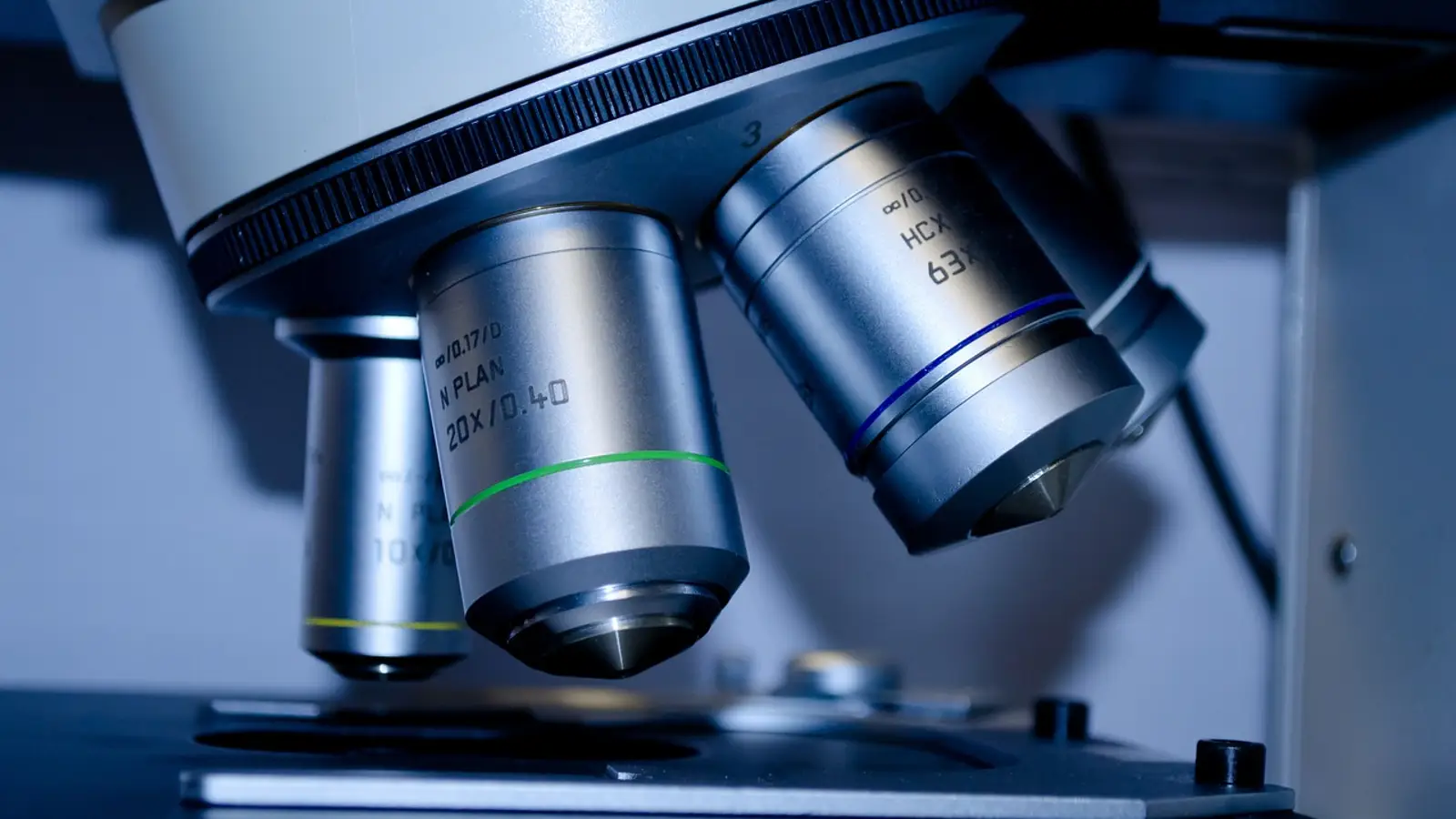 cancer colon investigadores espanoles identifican celulas que causan metastasis 97