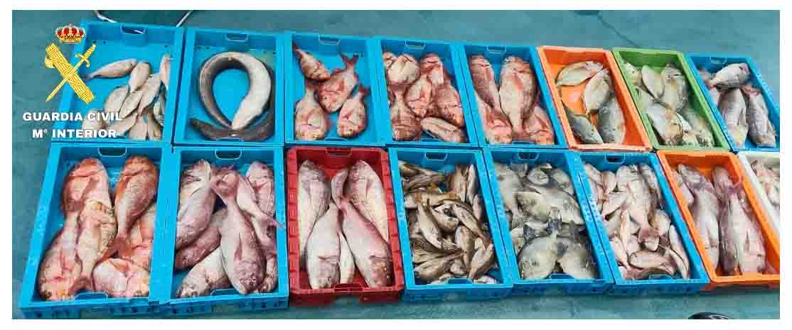 captura pescado las palmas