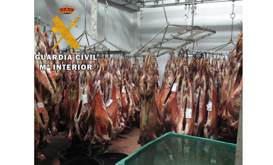 carne intervenida jaen 