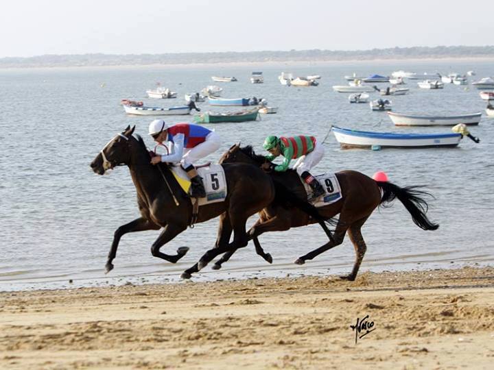 carreras caballos 0 0 0 0