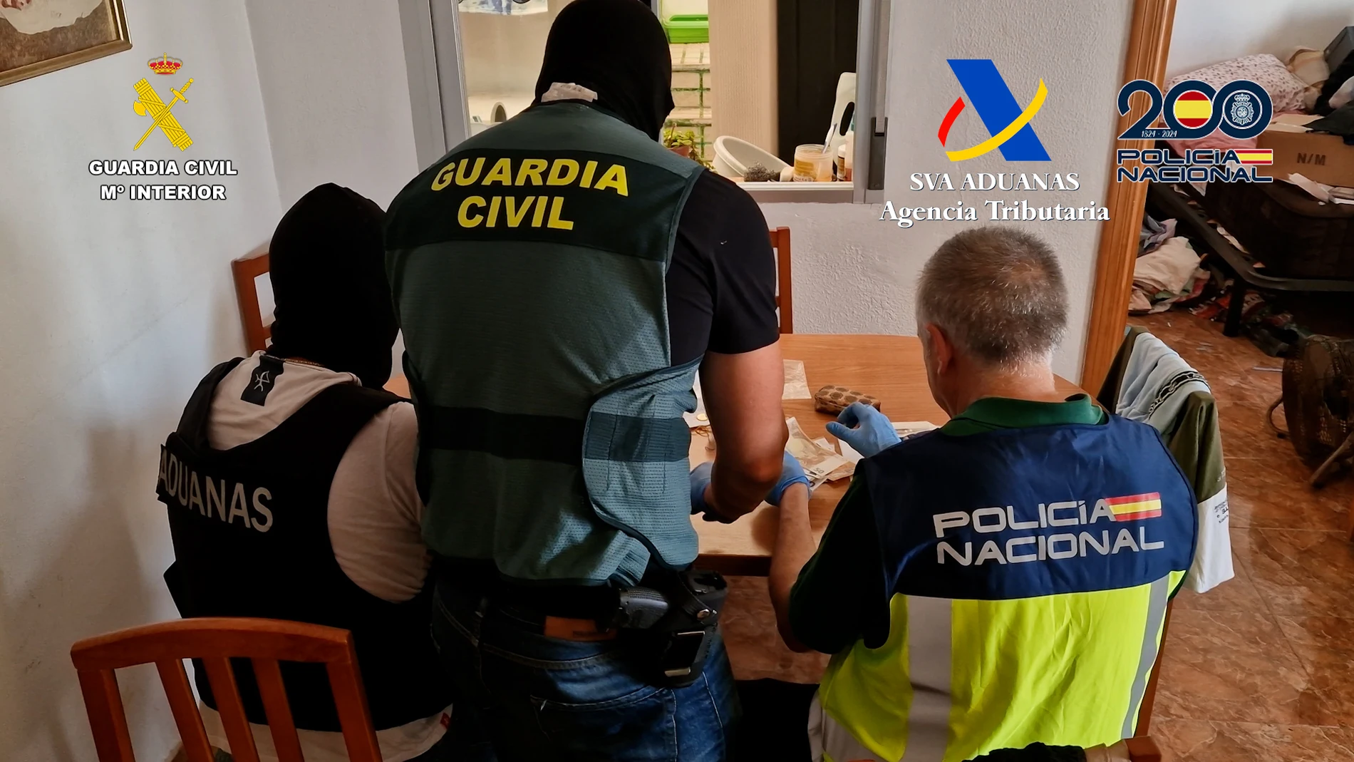 desarticulada organizacion criminal dedicada trafico drogas costa granadina
