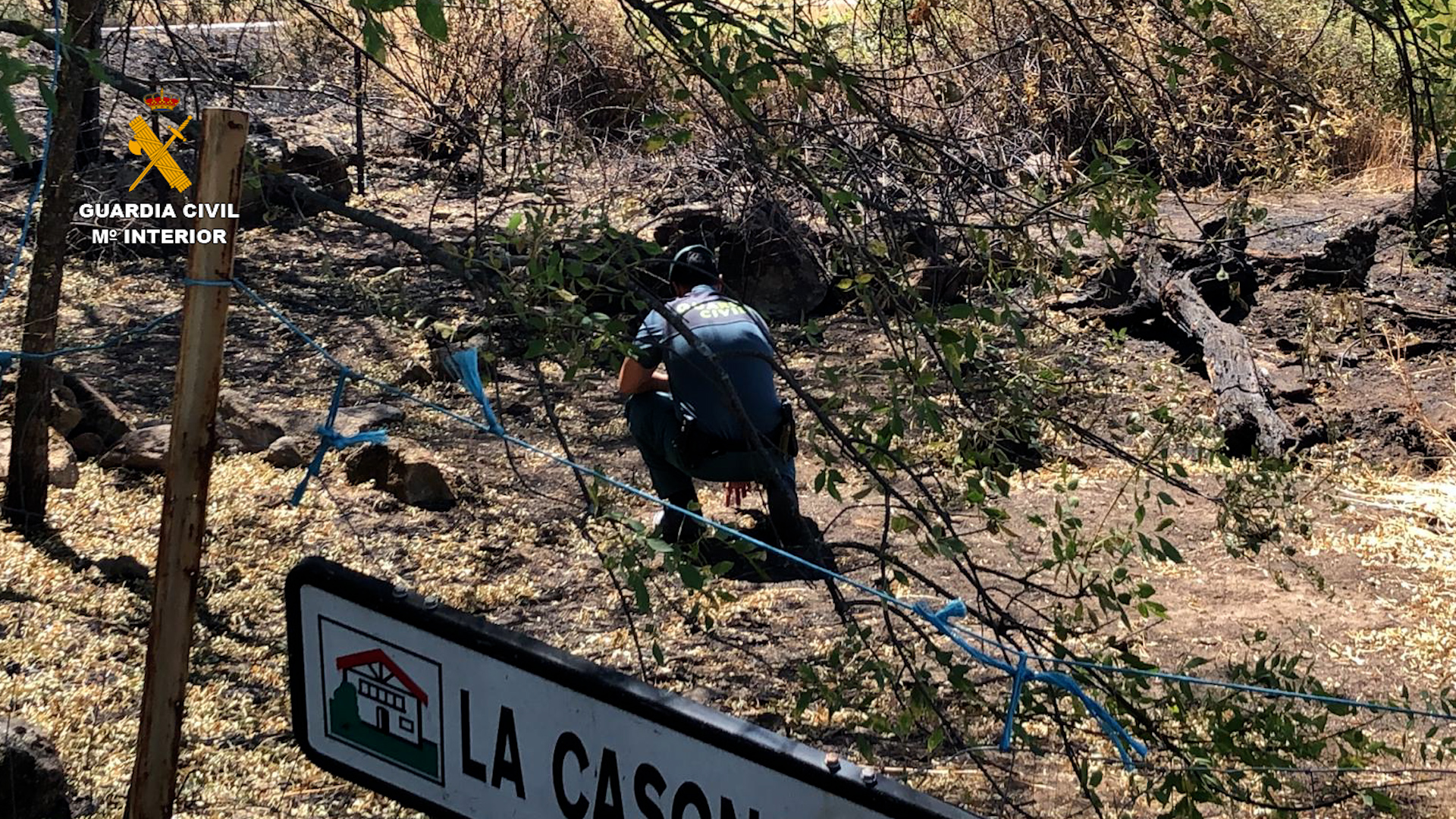 detenido incendio forestal caceres editada3