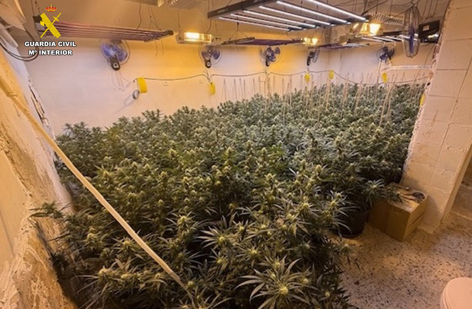 edit plantación marihuana VILLENA 1