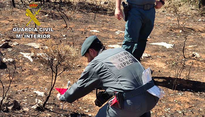 el seprona investiga un incendio forestal