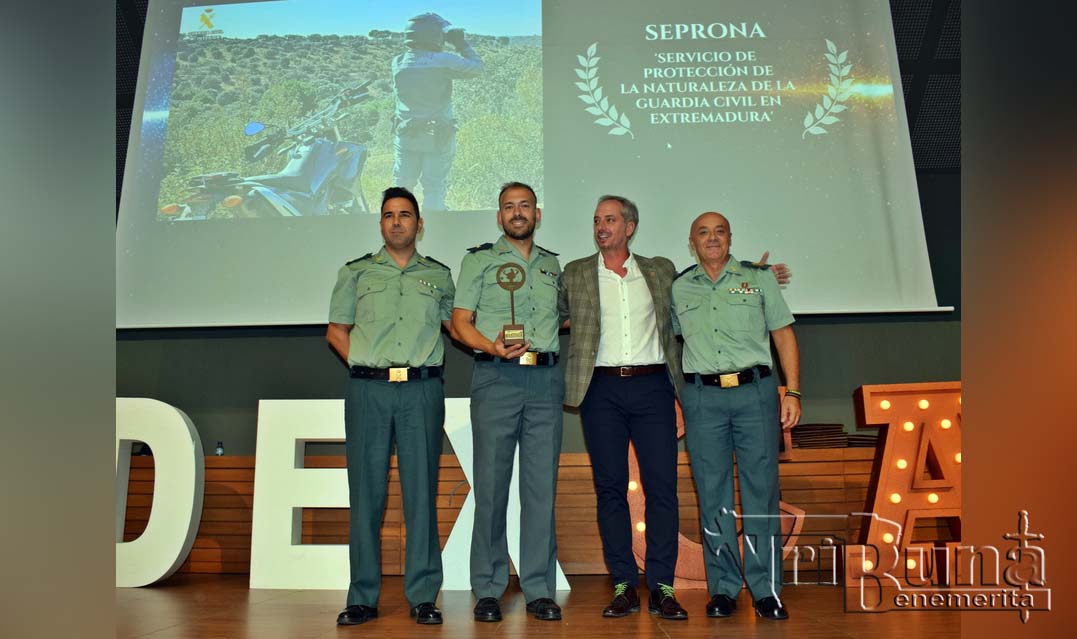 entrega premio