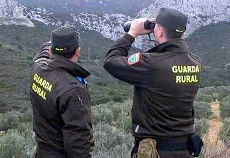 entrevista guardas rurales P