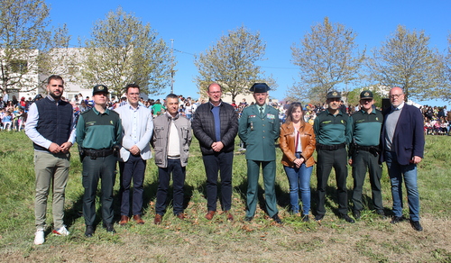 exhibicin almansa