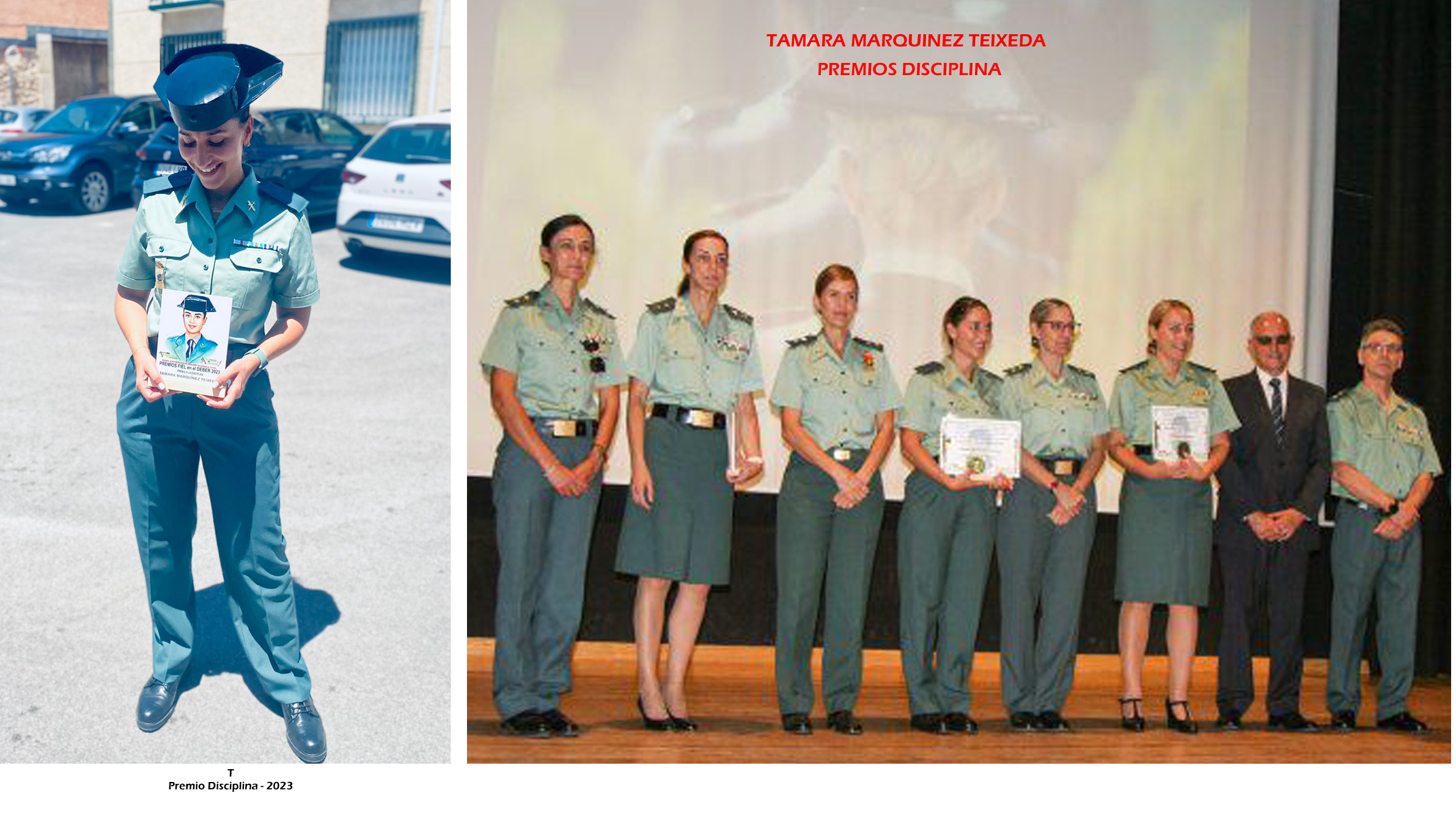 fb53d68f 2300 43d6 97c5 2ea07695b795