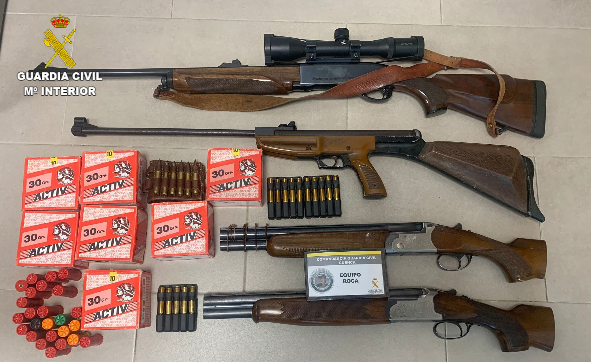 foto armas mosca