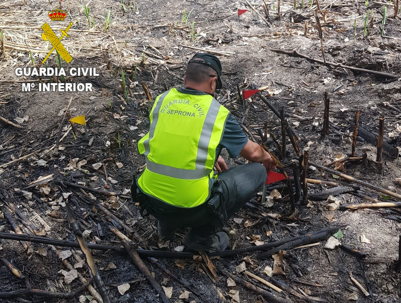 foto guardia civil incendio valencia