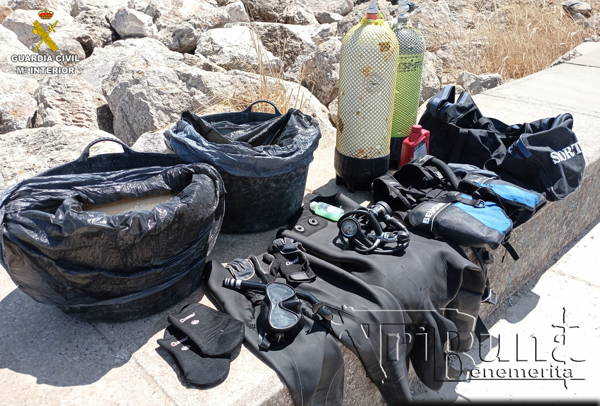 foto ortiguillas 3 copia