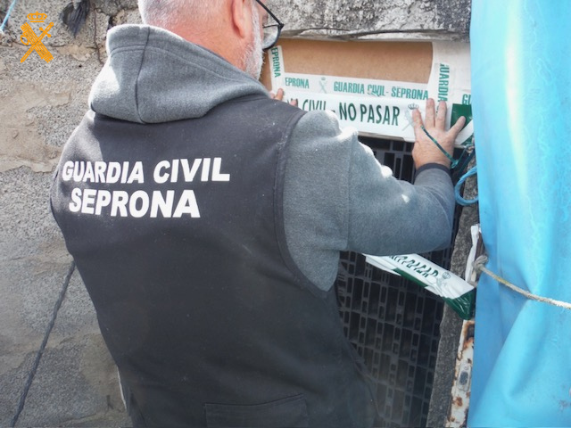 foto seprona las palmas1