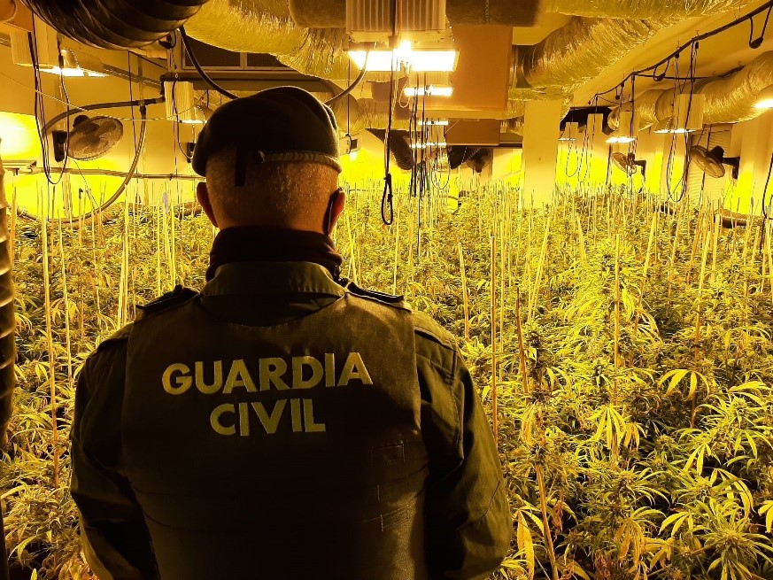 granada plantacion