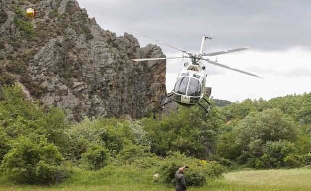 greim helicoptero