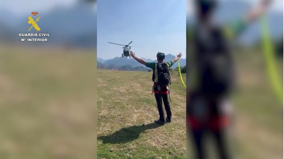 greim helicoptero
