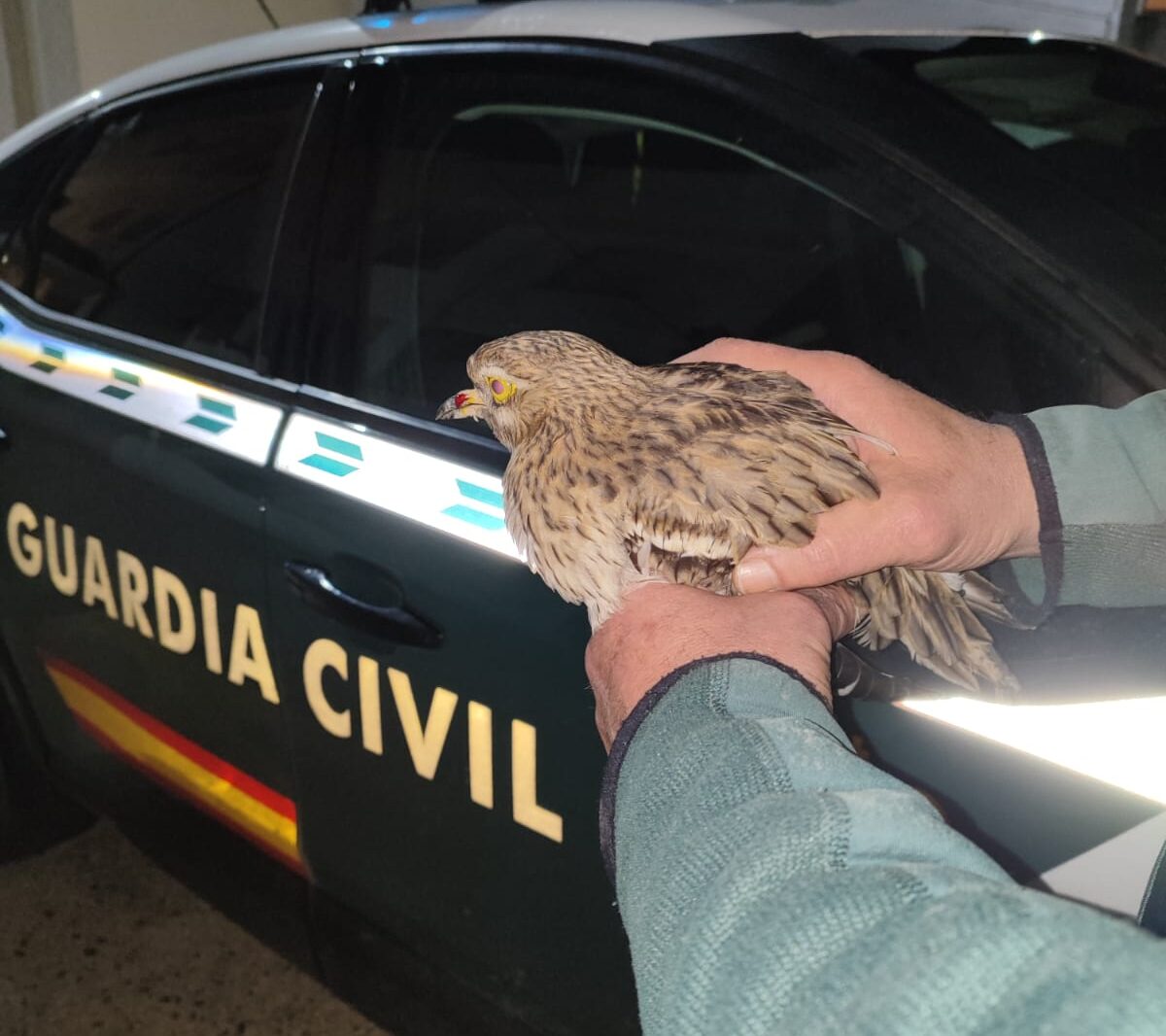 guardia civil ave rescate