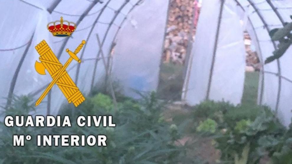 guardia civil localiza invernaderos marihuana valle del baztan