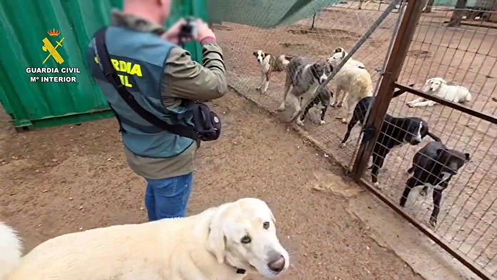 guardia civil protectora jaen perros