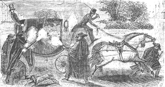 ilustracion del atentado a narvaez