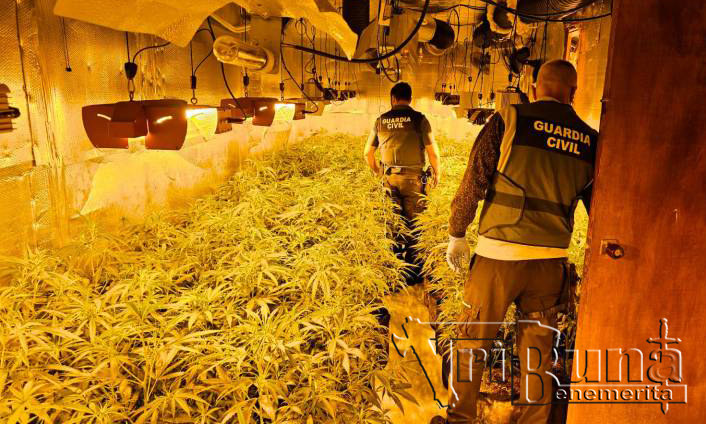 imagen plantacion marca agua