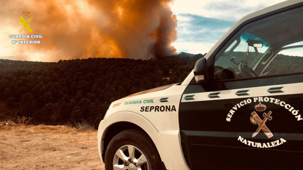 imagen seprona incendio