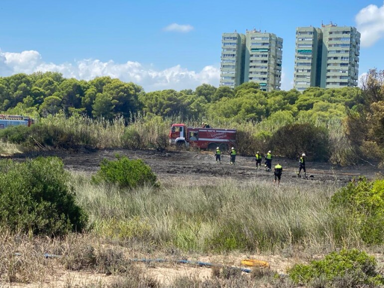 incendio forestal el saler 3