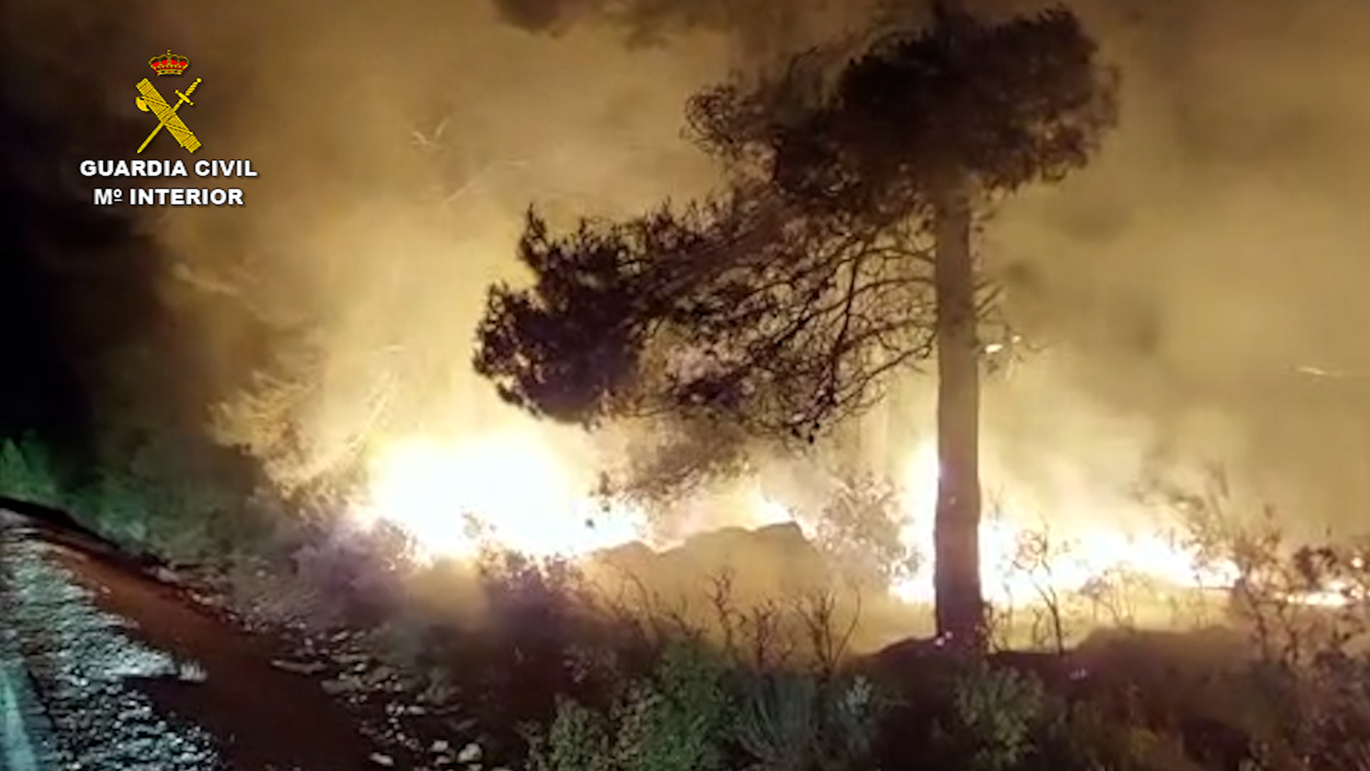 incendio valencia foto3
