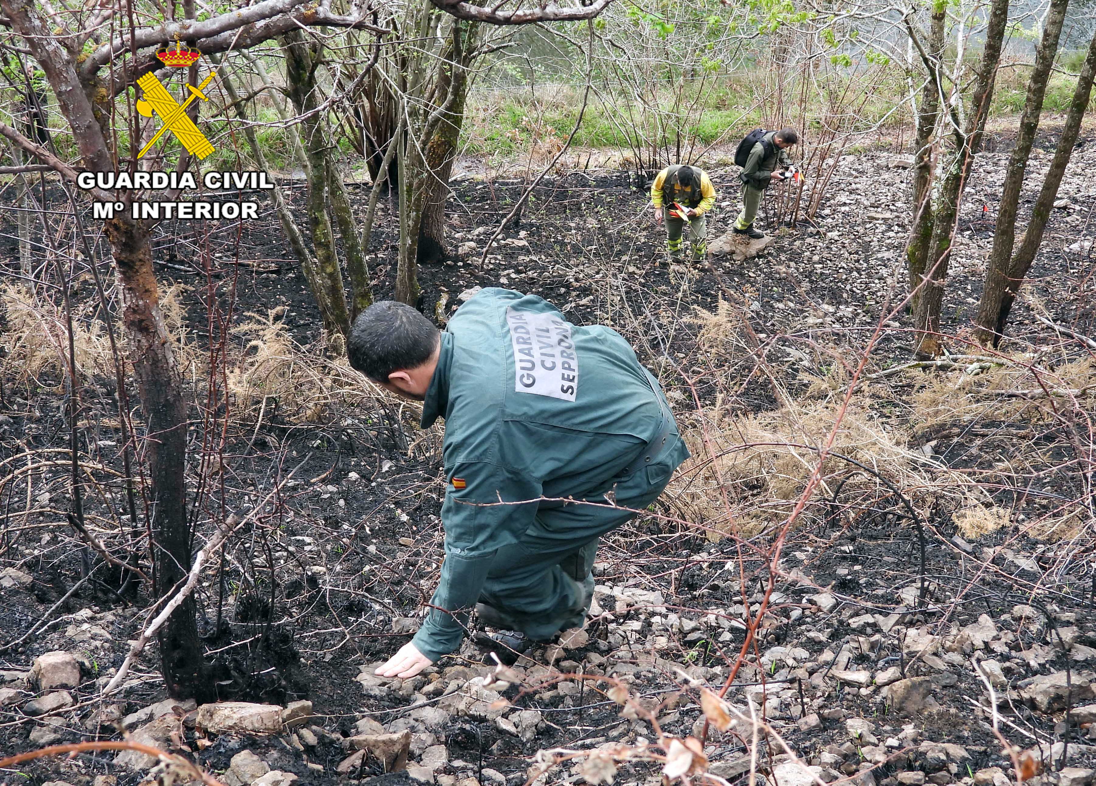 incendio vega de pas