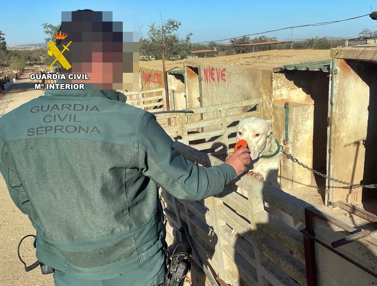 inspeccion animales