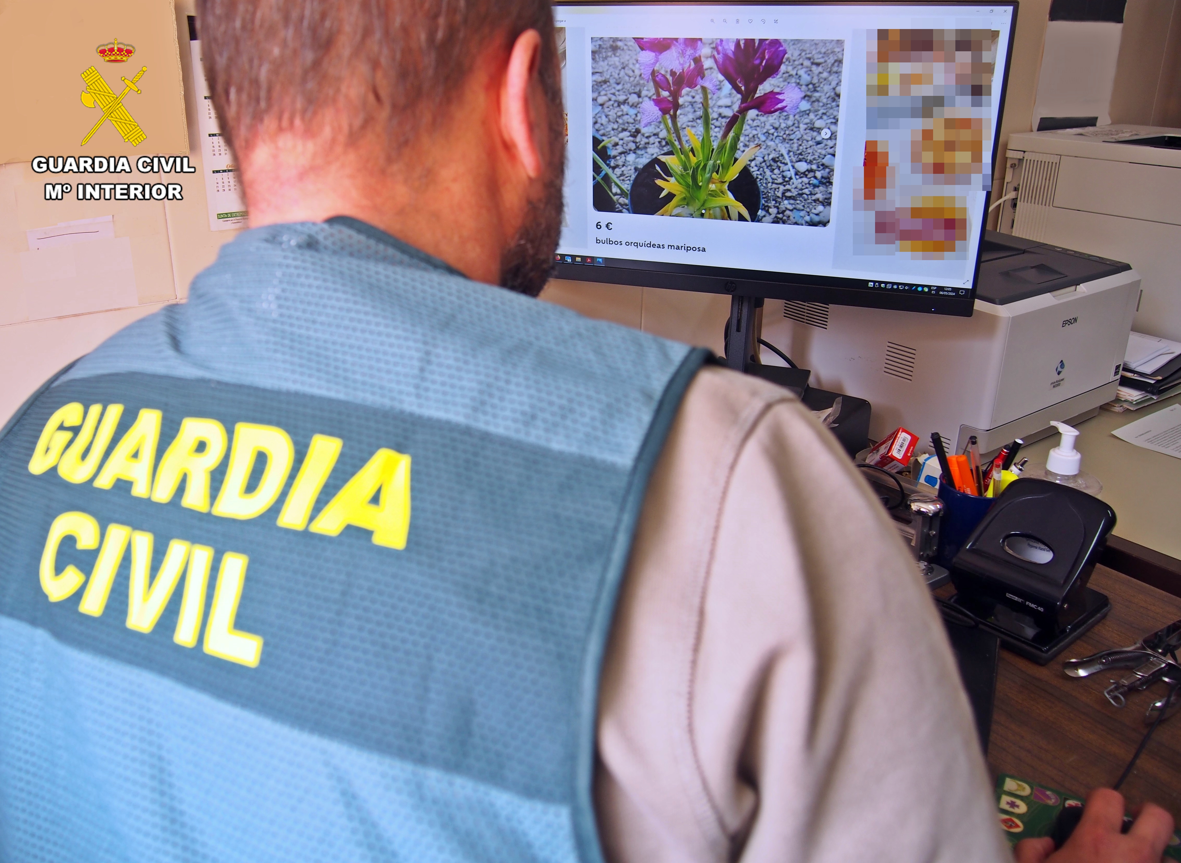 inspeccion perfil