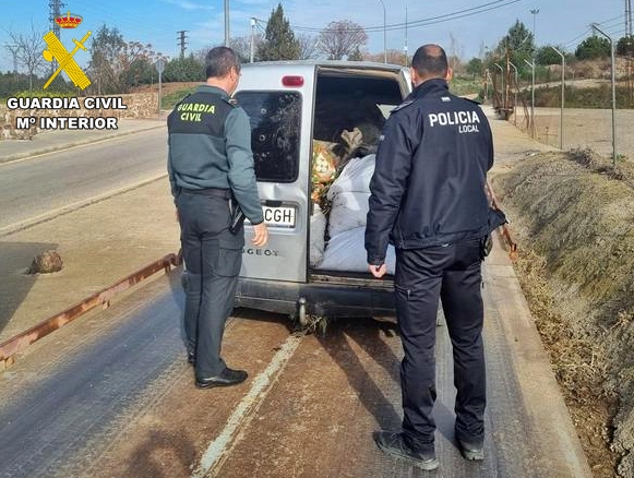 intervencion aceituna
