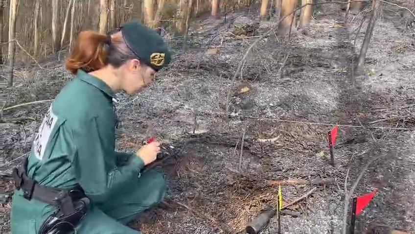 investigacion de incendios seprona
