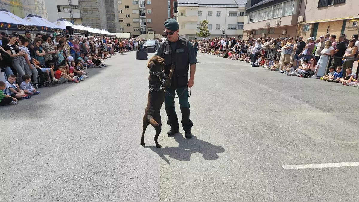jornada puertas abiertas guardia civil pais vasco