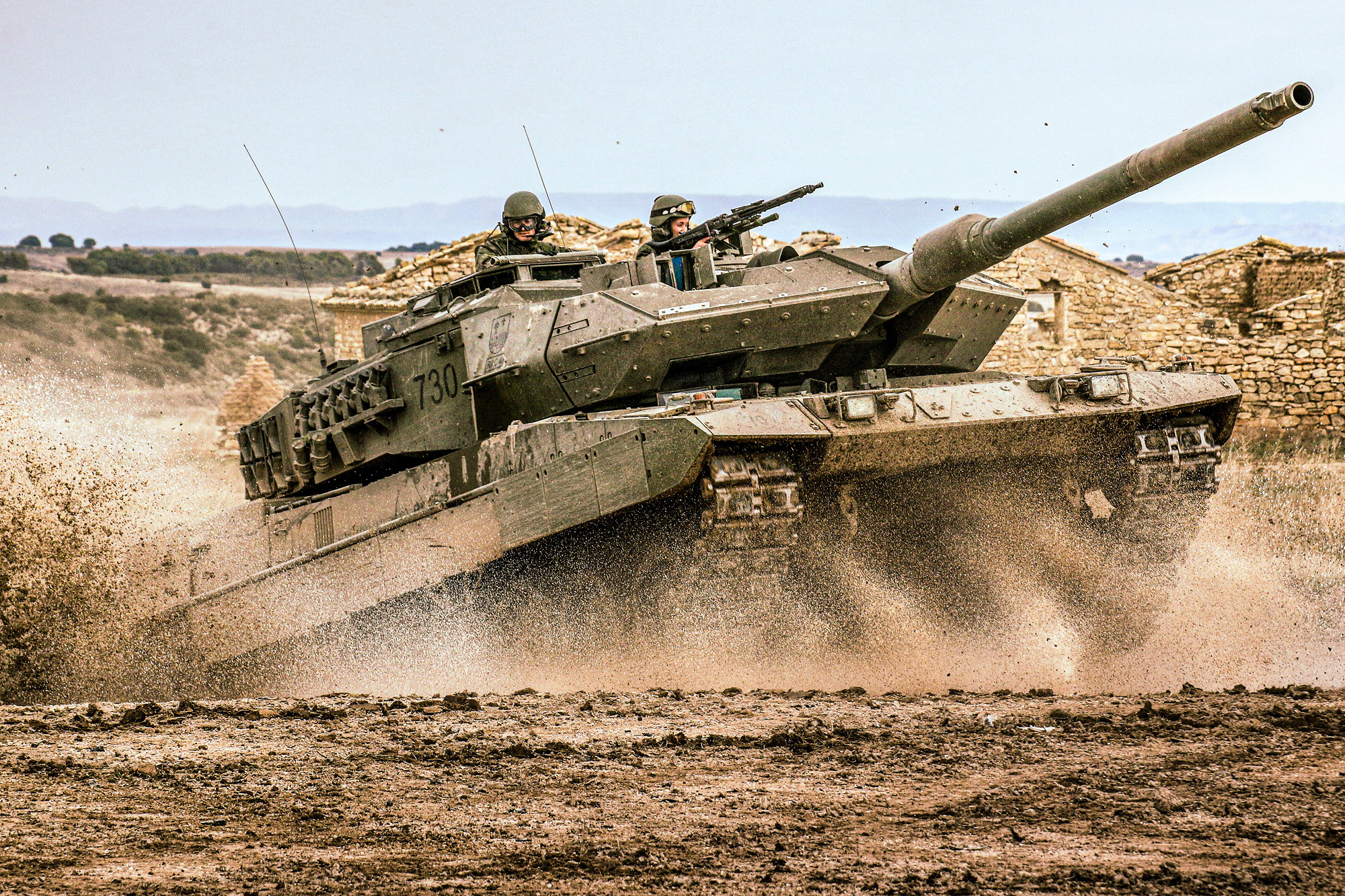 leopardo1