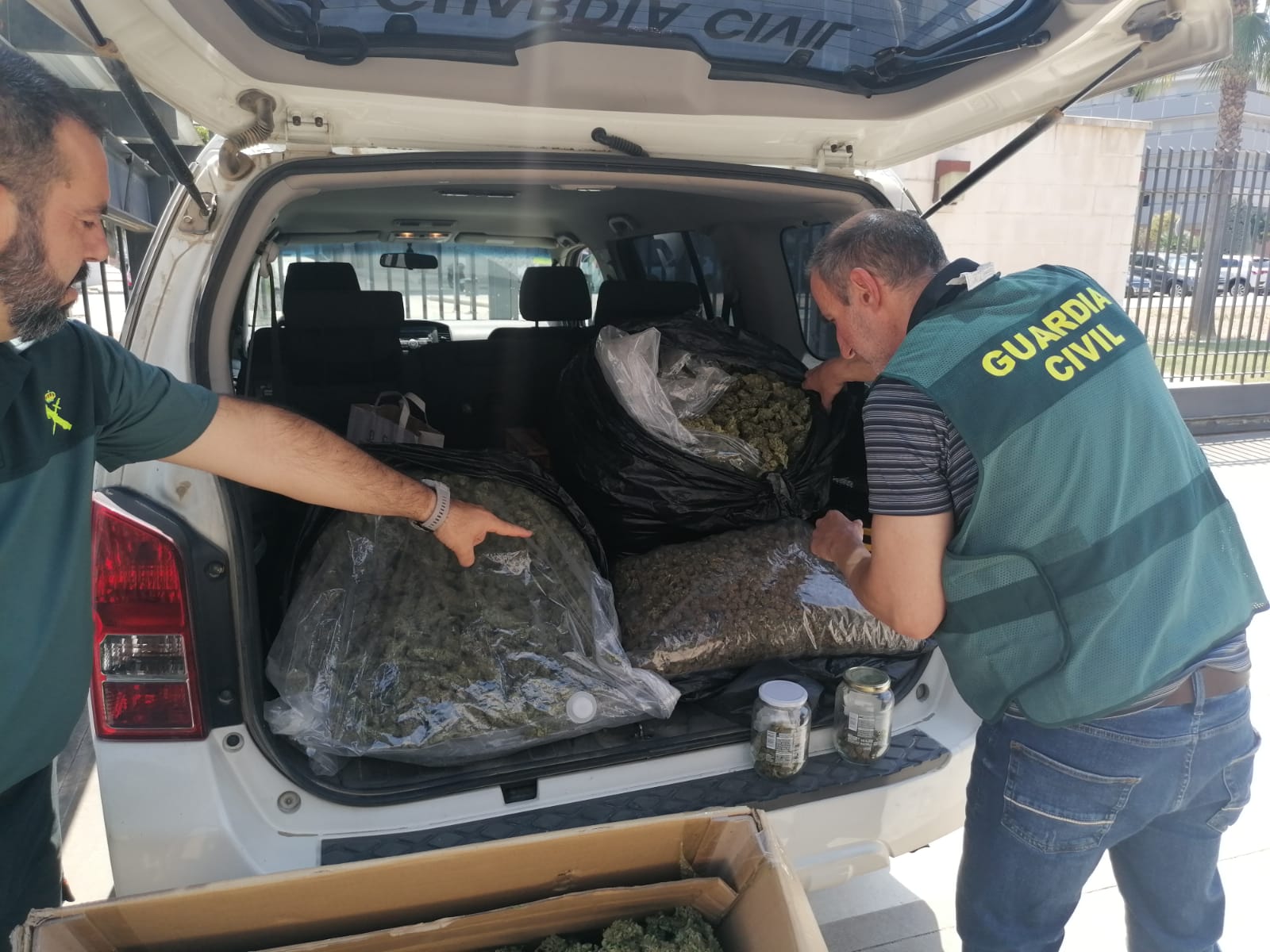 marihuana detenidos