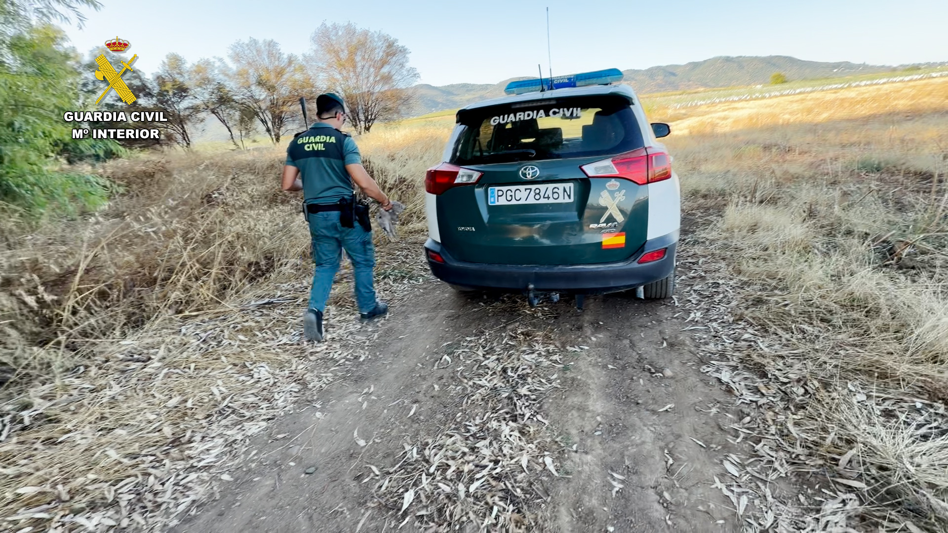 media veda seprona foto3