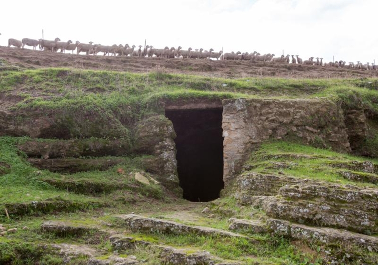 necropolis de urso 